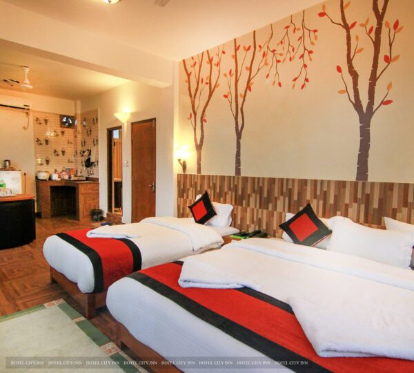 Hotel City Inn
